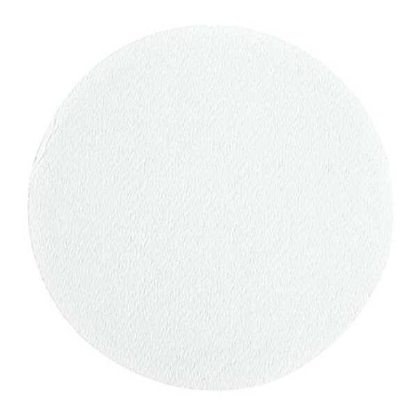 Cytiva Whatman Glass Microfiber Filter, GF/B, 24mm, PK100 1821024 Zoro