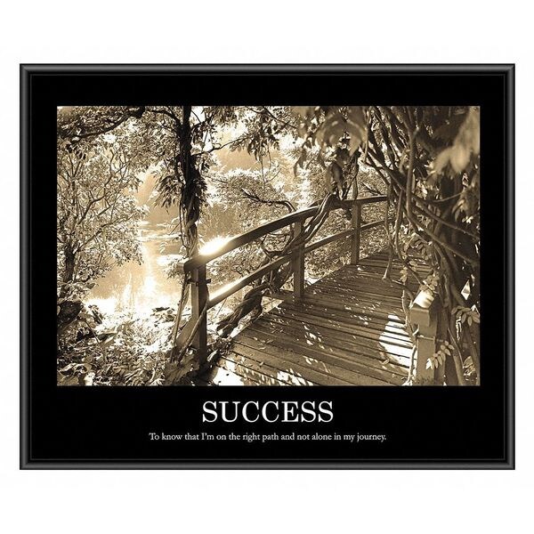 Advantus Motivational Print, Success, Frame, 24 x 30 AVT78161 | Zoro