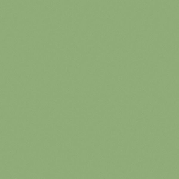 Pratt & Lambert 0000Z818116 43.66 1 gal. Green Barley Flat Latex