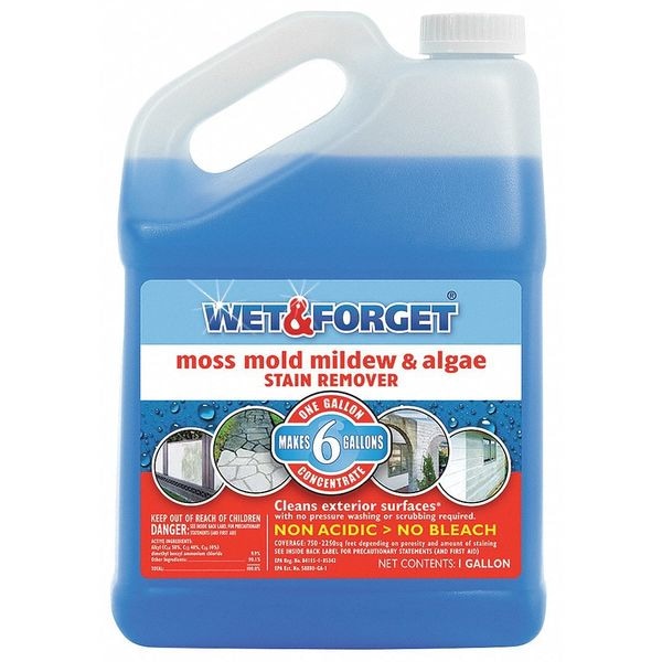 WET AND Liquid 1 gal. Mold, Moss, Algae, Mildew Remover, Jug