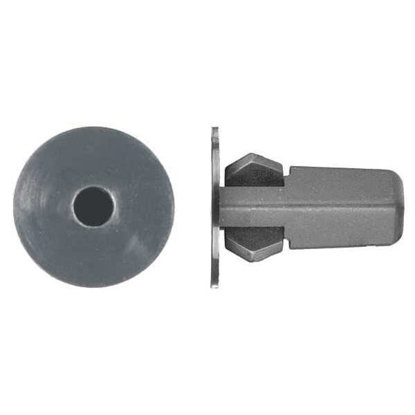 Zoro Select Push-In Rivet, Dome Head, 5.5 mm Dia., 22 mm L, Nylon