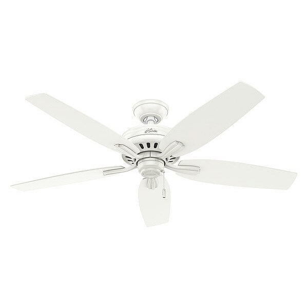 Hunter Decorative Ceiling Fan 52 Blade Dia 5 Blades Variable