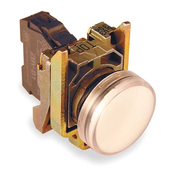 Schneider Electric Pilot Light Complete,White,LED (XB4BVG1) Zoro