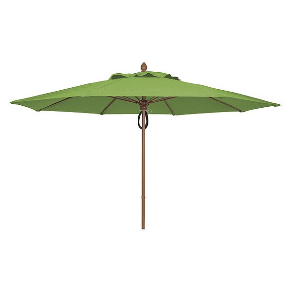Fiberbuilt 11mppcb 4685 715 35 Market Umbrella 8rib Pulley Pin Gngko 11 Ft Zoro Com