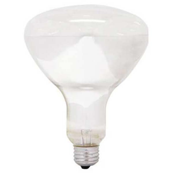 Current GE LIGHTING 375W, R40 Incandescent Heat Light Bulb 375R40/1