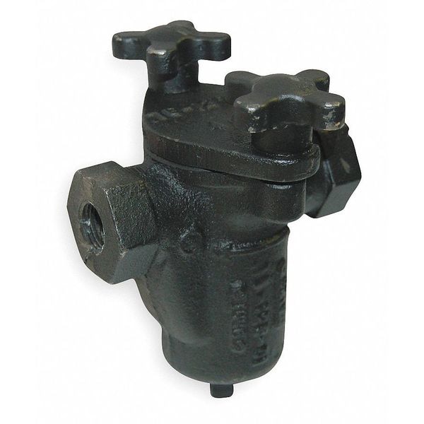 Mueller Steam Specialty 2", FNPT x FNPT, Cast Carbon Steel, Basket