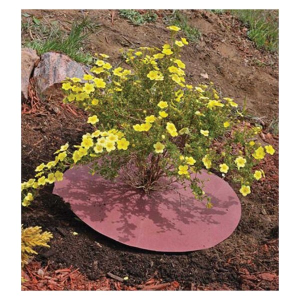 Weedguard Plus WeedGuard Circles - Hvy Wght, 18in OD, 100PK FEWC1818100 - main