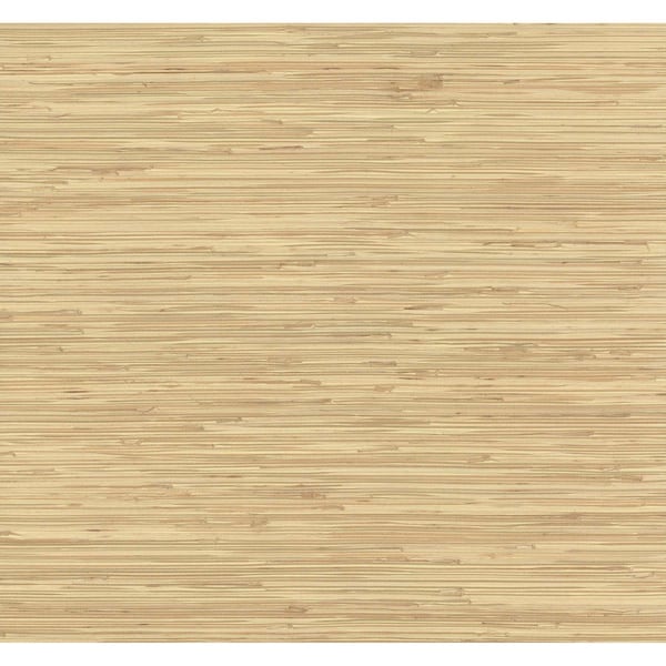 York Wallcoverings River Grass Beige Wallpaper NZ0787 - main