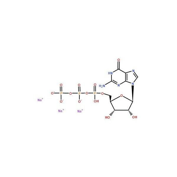 Ak Scientific Guanosine 5'-triphosphate trisodium salt (5g), CAS 36051-31-7 3710AH-5g - main