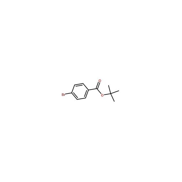 Ak Scientific tert-Butyl 4-bromobenzoate (5g), CAS 59247-47-1 X2855-5g - main