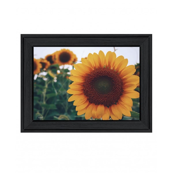 Homeroots Midwest Livin II 3 Black Framed Print Wall Art 407617 - main