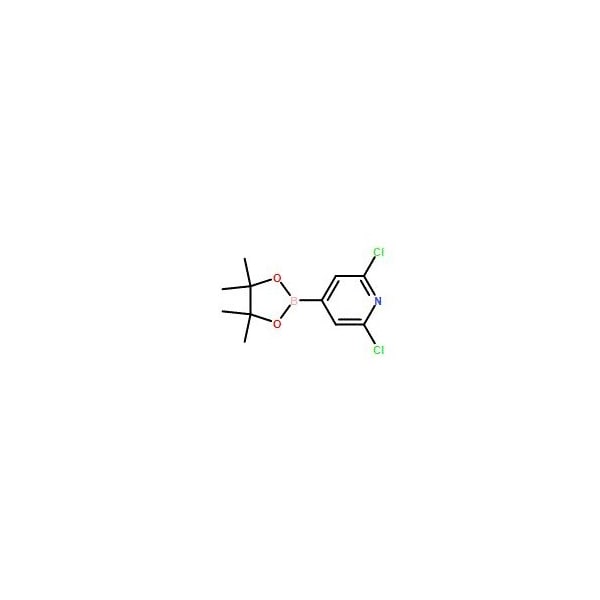 Ak Scientific 2, 6-Dichloropyridine-4-boronic acid pinacol ester (5g), CAS 408492-27-3 X0792-5g - main