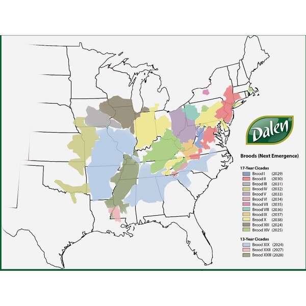 Dalen Cicada-X 3/8'' Mesh 14 Ft. x 14 Ft. Protective Netting INC-14 - main