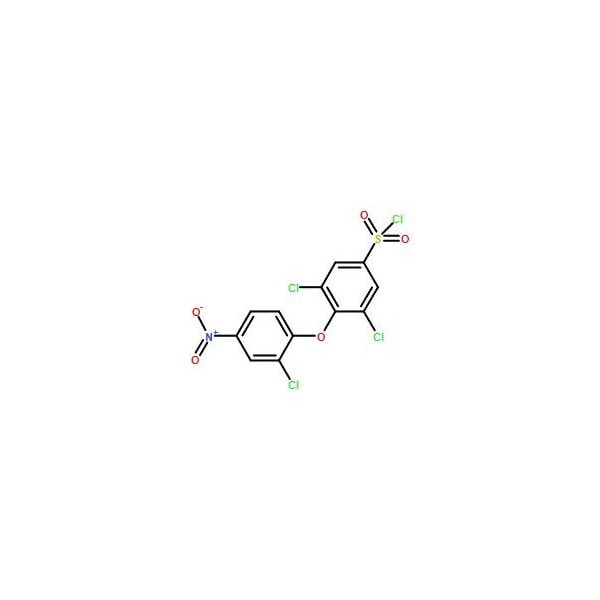 Ak Scientific 3, 5-Dichloro-4-(2-chloro-4-nitrophenoxy)benzene-1-sulfonyl chloride (1g), CAS 175135-06-5 Y7844-1g - main