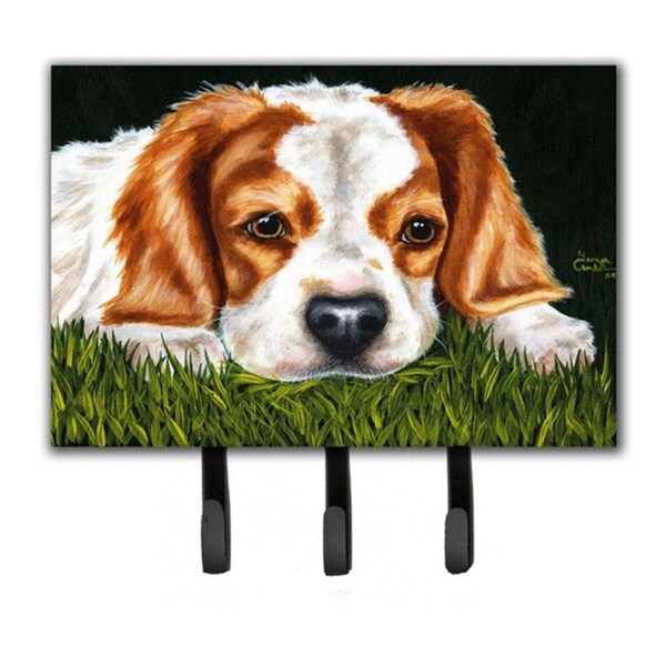 Carolines Treasures Cavalier Spaniel in the Grass Leash or Key Holder AMB1395TH68 - main