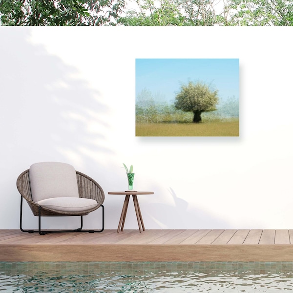 Trademark Fine Art Outdoor Canvas Art Katarina Holmstrom 'Tree With Flowers' Wall Art for Patios, or Gardens 1X10861-OC2432WR - main
