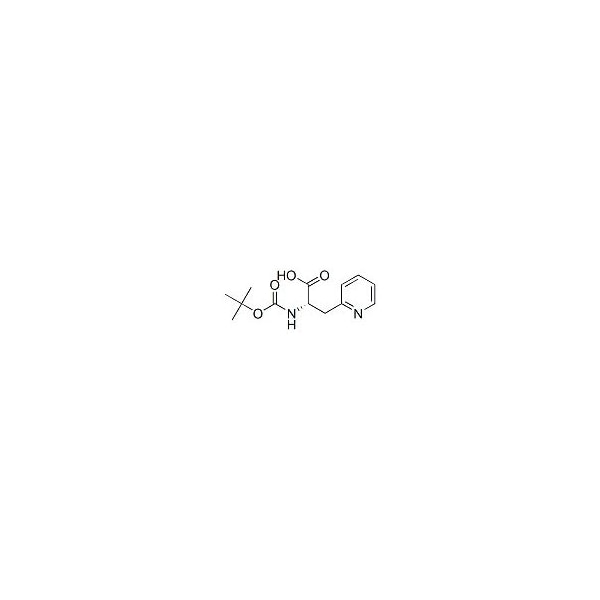 Ak Scientific Boc-L-3-(2-pyridyl)-alanine (1g), CAS 71239-85-5 M095-1g - main