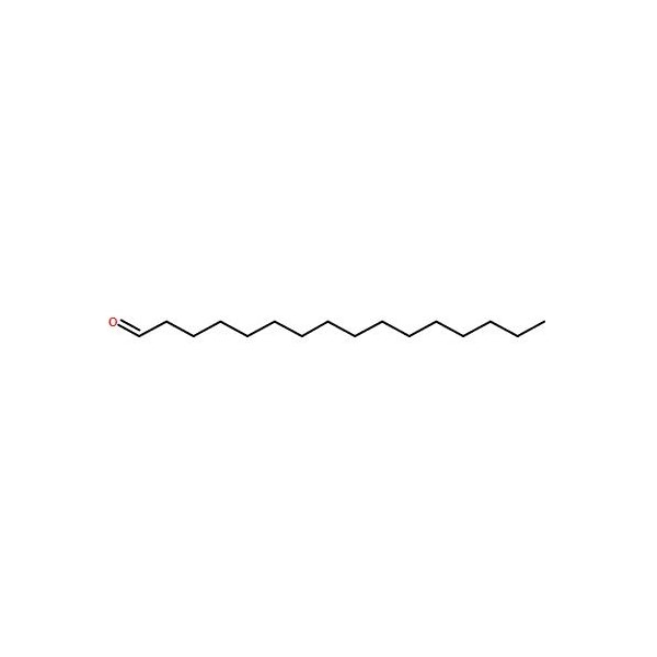 Ak Scientific Hexadecanal (10g), CAS 629-80-1 6369AF-10g - main