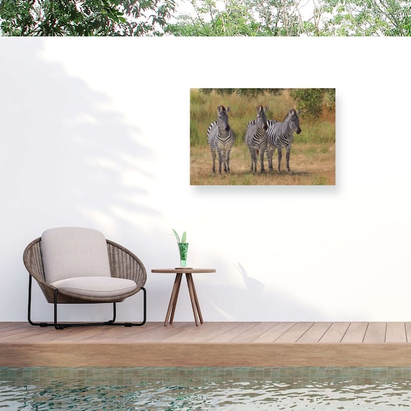Trademark Fine Art Outdoor Canvas Art David Stribbling 'DAVSTR125634' Wall Art for Patios, or Gardens GRL00279-OC1219WR - main