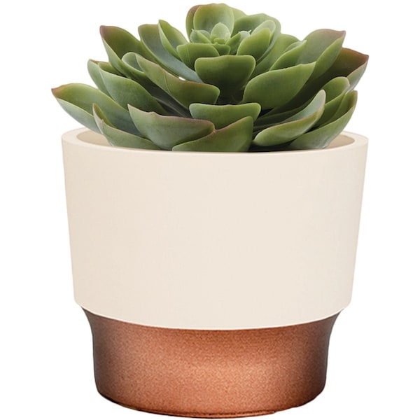 Hc Companies Sprite 3'' x 3'' x 2.5'' Resin Vanilla Bisque Succulent Pot SSP03000A58 - main
