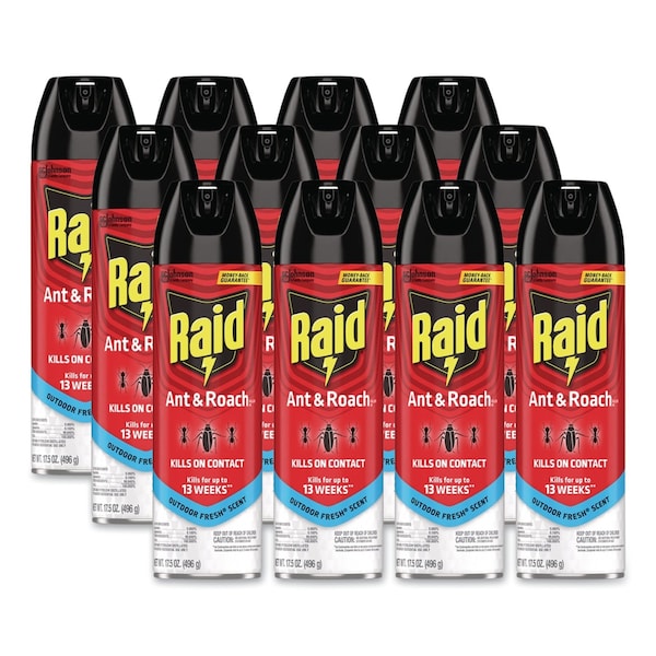 Raid Ant and Roach Killer, 17.5 oz Aerosol Spray, Outdoor Fresh, 12PK 660574 - main