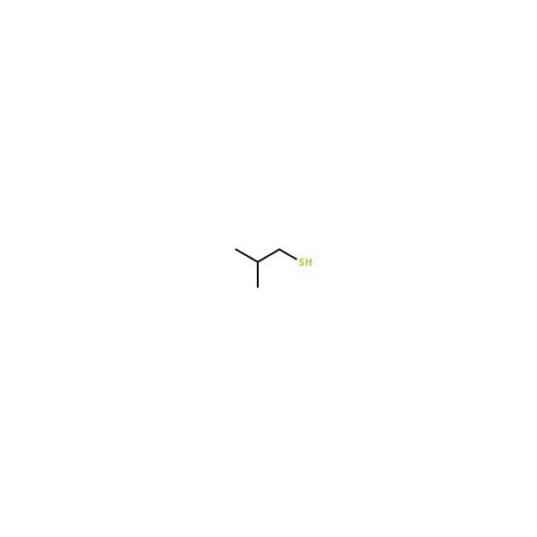 Ak Scientific 2-Methyl-1-propanethiol, tech. (25mL), CAS 513-44-0 8090AL-25mL - main