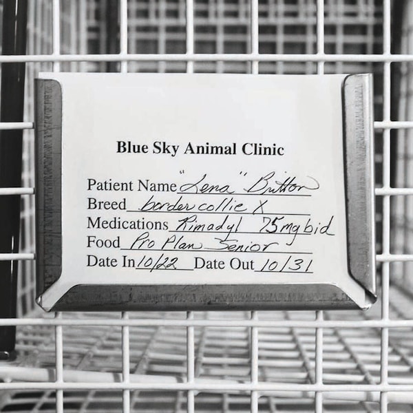 Jorgensen Laboratories Jorvet Cage Card Holder, 3"x5" J0461X - main