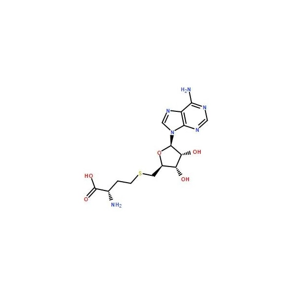 Ak Scientific S-(5'-Adenosyl)-L-homocysteine (100mg), CAS 979-92-0 X6831-100mg - main