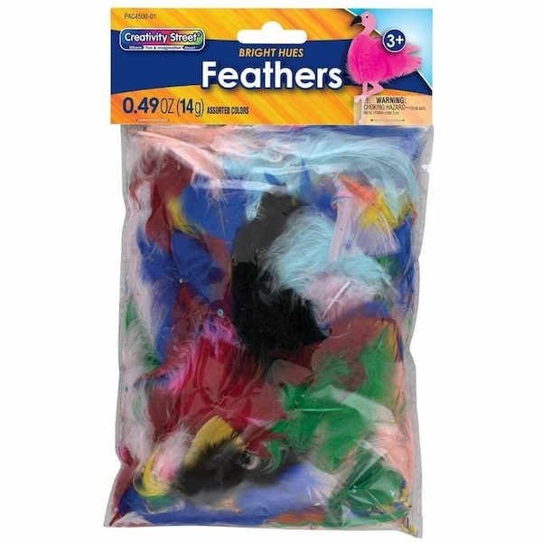 Creativity Street Turkey Plumage Feathers, Bright Hues, 14 grams Per Pack, PK12 PAC4500-01 - main