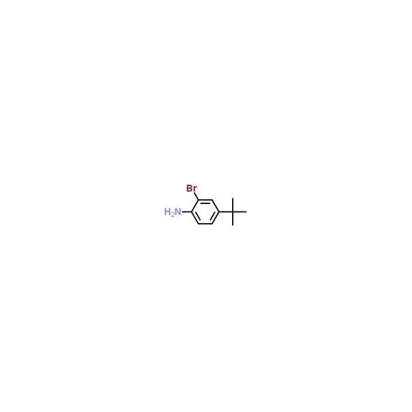 Ak Scientific 2-Bromo-4-tert-butylaniline (5g), CAS 103273-01-4 B845-5g - main