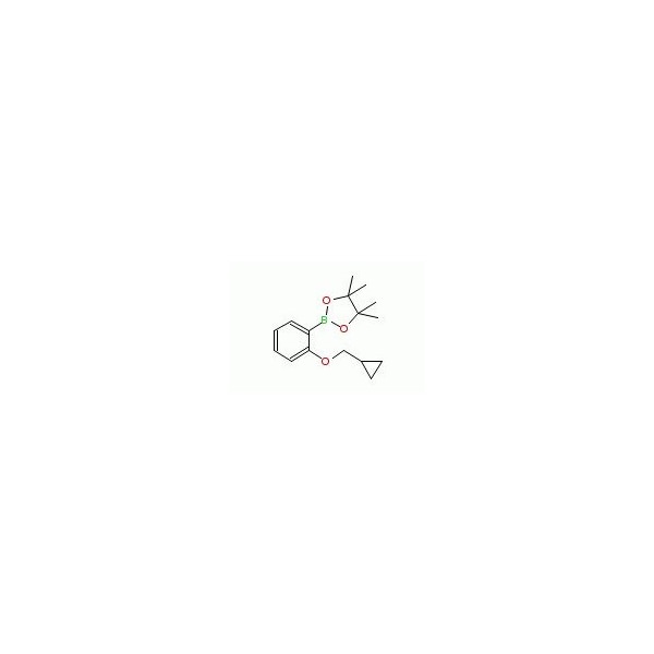 Ak Scientific 2-Cyclopropylmethoxyphenylboronic acid pinacol ester (1g), CAS 1185836-98-9 0572AD-1g - main