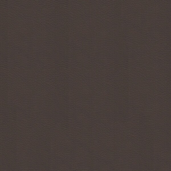 Abbeyshea Whisper, PVC Coated Faux Leather, Contract Grade, Upholstery Fabric, Truffle Samples WHISPWHI2153M9X9 - main