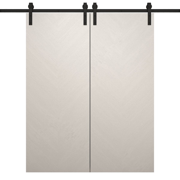Sartodoors Modern Double Barn Door 36 x 80 inches, Ego 5005 Painted White Oak, 13FT Rail Track Set, Solid Pa EGO5005DB-PWO-36 - main