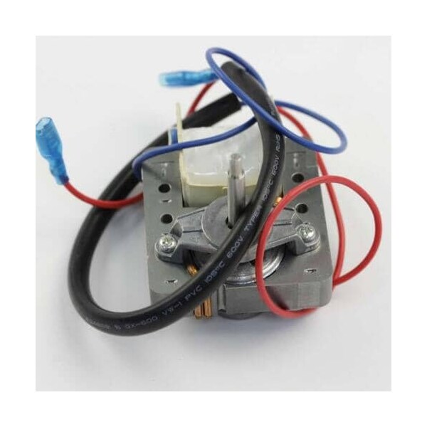 Delonghi MOTOR NE1268 - main