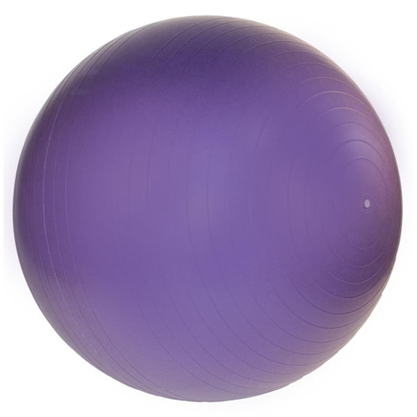 Fitnessfreak Professional Exercise Ball 65cm - Purple FI80963 - main