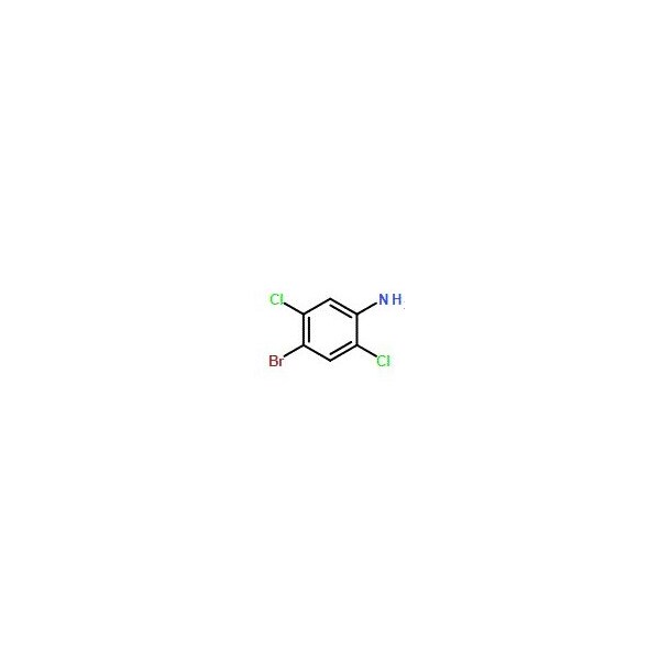 Ak Scientific 4-Bromo-2, 5-dichloroaniline (5g), CAS 1940-27-8 Z0325-5g - main