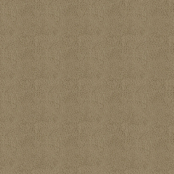 Abbeyshea Taupe, Polyurethane Coated Faux Leather Fabric, 9 in L, 9 in W BALDW6009M9X9 - main