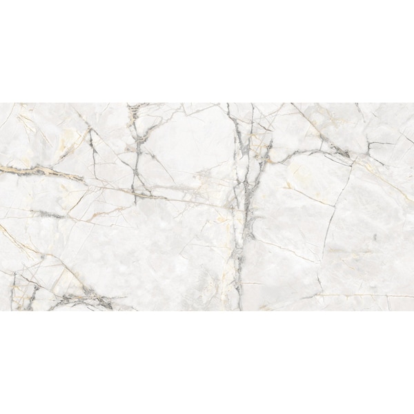 Andova Tiles Venataro 24x48 Polished Natural Stone/ Marble Large Format Porcelain Floor and Wall Tile, 2PK ANDVENA1479 - main