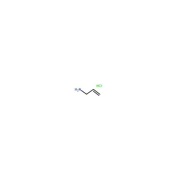 Ak Scientific Allylamine hydrochloride (1g), CAS 10017-11-5 7063AF-1g - main