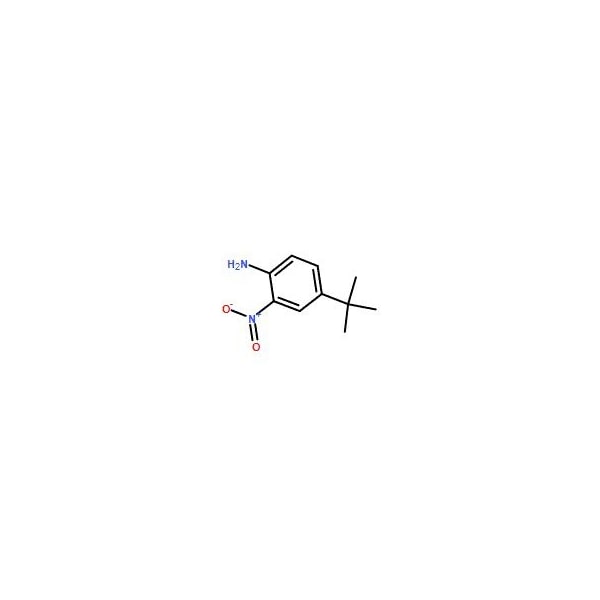 Ak Scientific 4-(tert-Butyl)-2-nitroaniline (5g), CAS 6310-19-6 X7127-5g - main