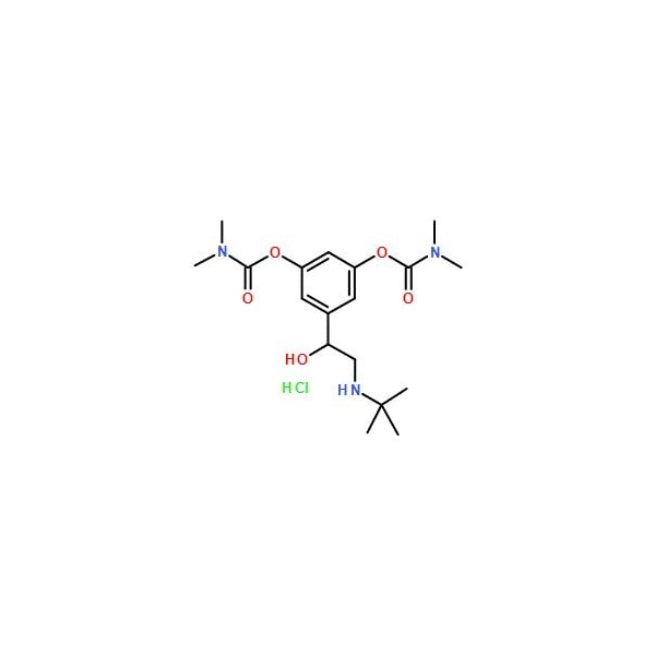 Ak Scientific Bambuterol HCl (1g), CAS 81732-46-9 G311-1g - main