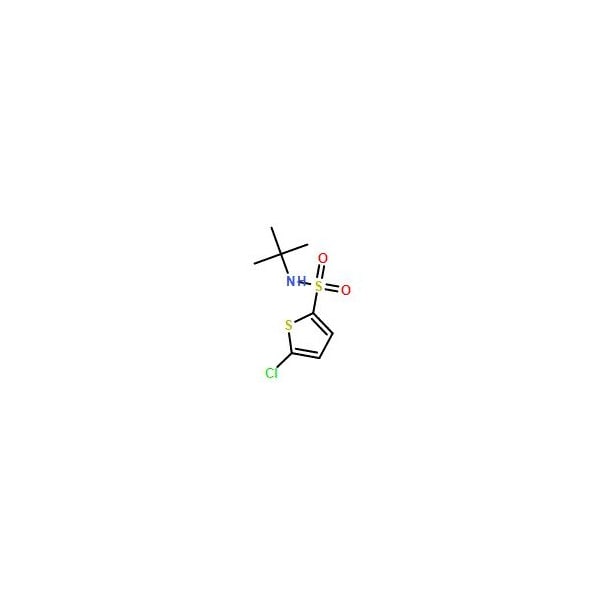Ak Scientific 5-Chloro-N-tert-butyl-2-thiophene-sulfonamide (10g), CAS 155731-14-9 V0666-10g - main