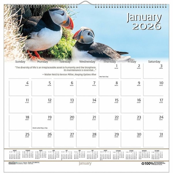 House Of Doolittle Earthscapes Wildlife Wall Calendar, 12'' x 12'', 2025 3731 - main