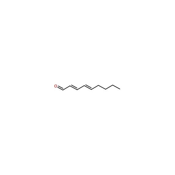 Ak Scientific trans, trans-2, 4-Nonadienal (25g), CAS 5910-87-2 R555-25g - main