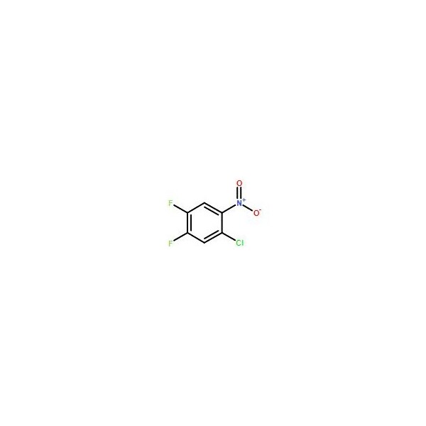 Ak Scientific 1-Chloro-4, 5-difluoro-2-nitrobenzene (5g), CAS 771-76-6 1612AL-5g - main