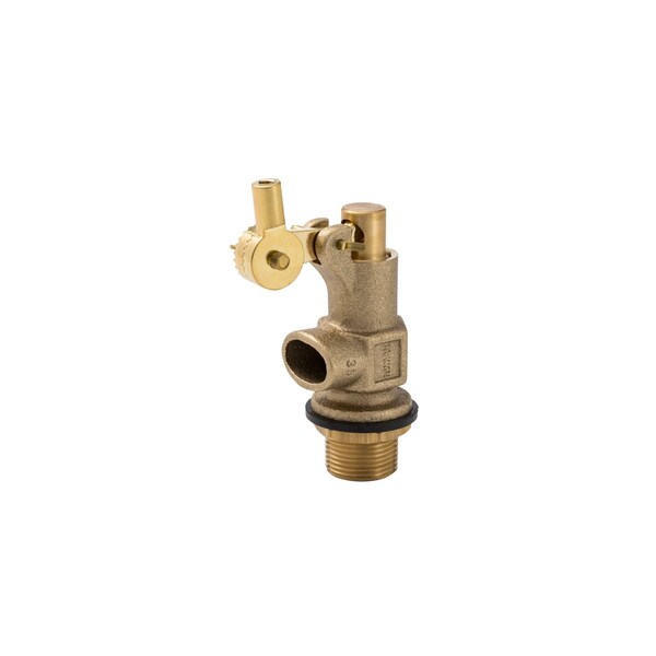 Proline Series Valve Float Plain Outlet, 3/4" 109-804 - main