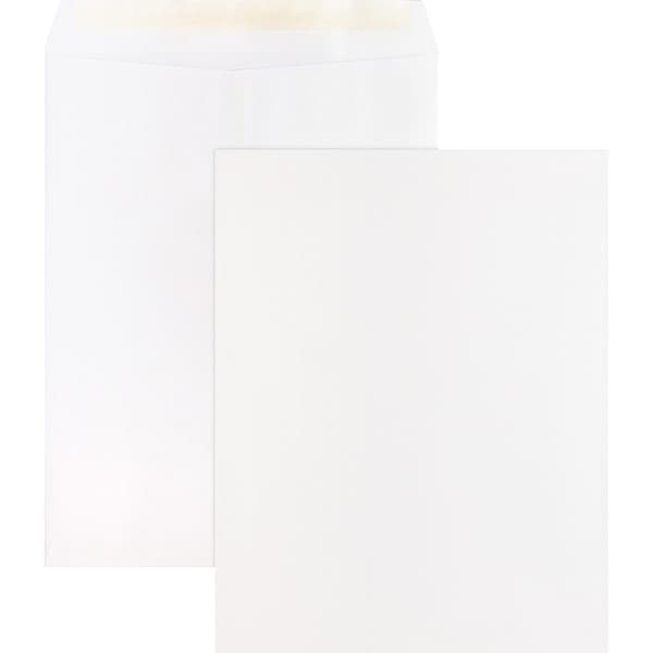 Business Source Filing Envelope, White, Wove, PK100 BSN65451 - main