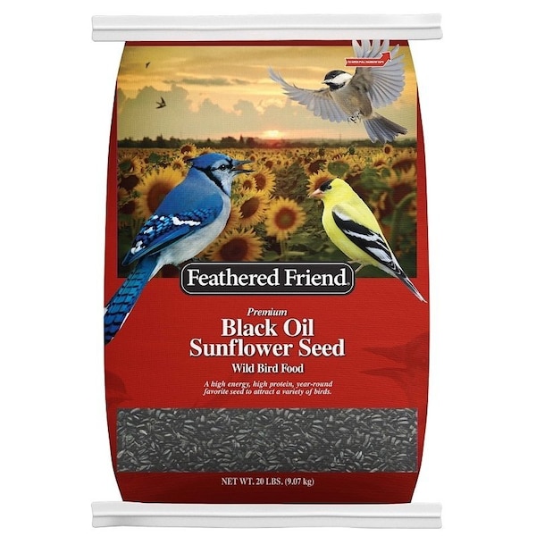 Global Harvest Foods Feathered Friend Black Oil Sunflower Seed, 20 lb 14421 - main