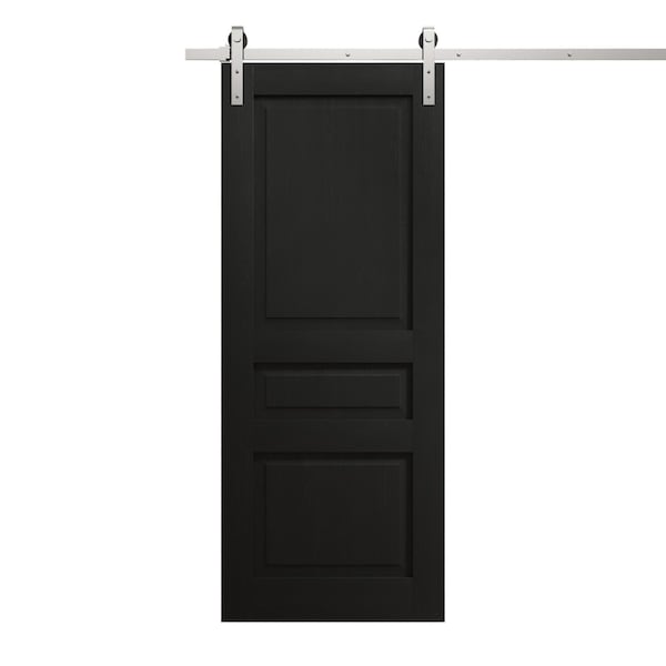 Sartodoors Modern Barn Door 42 x 80 inches, Ego 5012 Painted Black Oak, 8FT Silver Rail Track Heavy Hardware EGO5012BD-S-CHK-42 - main