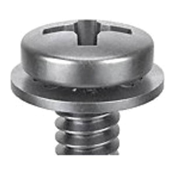 Zoro Select 1/4"-20 x 1 1/2 in Phillips Pan Machine Screw, Passivated 18-8 Stainless Steel, 10 PK 1-PPI-25C-150 - main